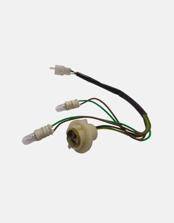Tail Light holder and indicator